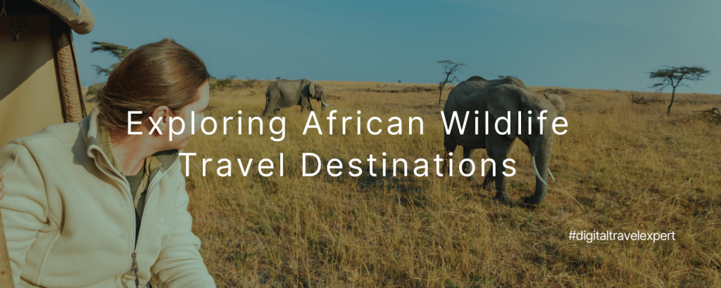 Exploring African Wildlife Travel Destinations: What Ethical Reviews Look Like