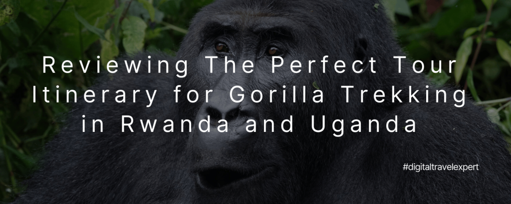Reviewing The Perfect Tour Itinerary for Gorilla Trekking in Rwanda and Uganda