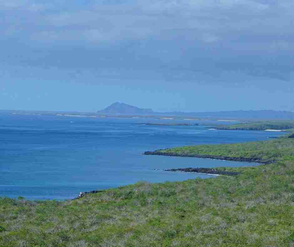 Galápagos Tourism at a Crossroads Can a Fragile Paradise Survive More Visitors